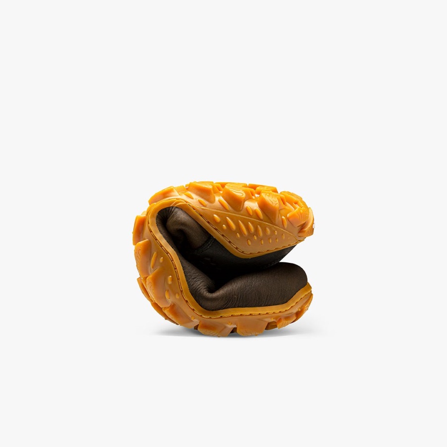 Vivo Bosonoga Paprat Magna šuma Esc žene