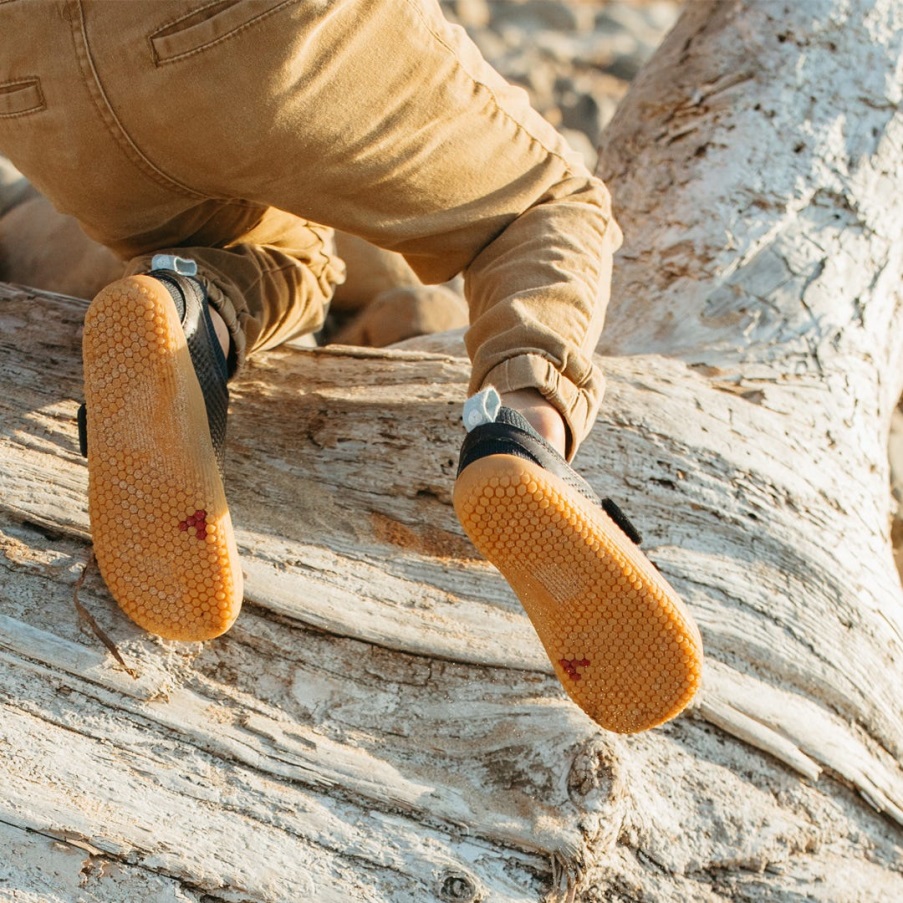 Primus Plesti Ii Djeca Ponoć